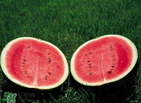 杏和西瓜能一起吃嗎？杏和西瓜能同時吃嗎？