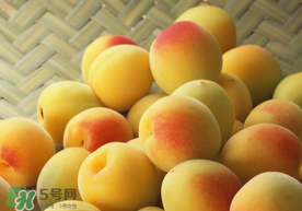 杏和雞蛋能一起吃嗎？杏子和雞蛋能一起吃嗎？