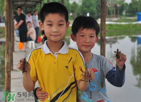 釣龍蝦用什么時(shí)間最好?釣龍蝦早上好還是晚上好? 釣龍蝦用什么時(shí)間最好?釣龍蝦早上好還是晚上好?