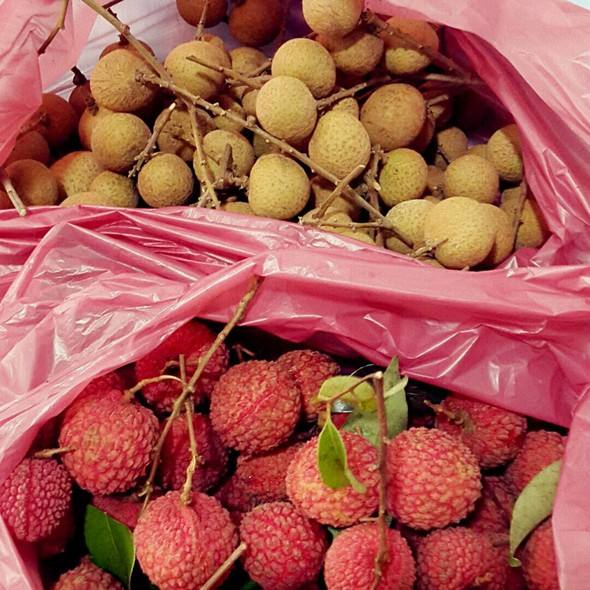 荔枝和龍眼哪個更上火？荔枝和龍眼味道差不多