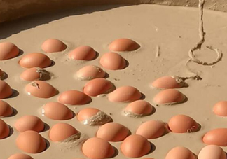 變蛋是什么蛋？變蛋是怎么做的？