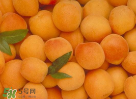 杏怎么催熟？杏怎么放熟的快？