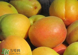 杏怎么催熟？杏怎么放熟的快？