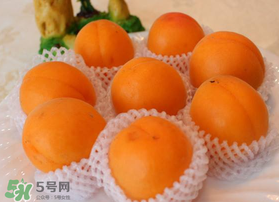 杏子可以放冰箱嗎？杏子可以冷藏嗎？