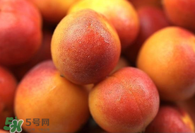 新鮮杏子可以放冰箱嗎？新鮮杏子怎么保存？