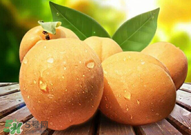 新鮮杏子怎么吃？新鮮杏子孕婦能吃嗎？