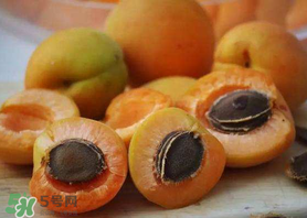 新鮮杏子怎么吃？新鮮杏子孕婦能吃嗎？