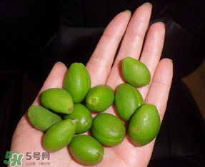 青杏怎么吃？青杏怎么做好吃？