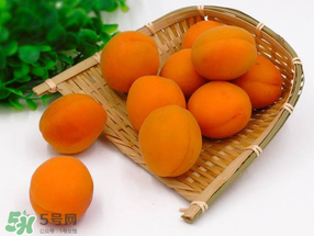 黃杏孕婦可以吃嗎？孕婦可以吃黃杏嗎？