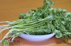 香菜是寒性食物嗎？香菜是熱性還是涼性？