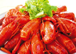 清蒸龍蝦需要多長時(shí)間？清蒸龍蝦要蒸多久？