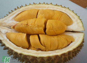 貓山王榴蓮怎樣才熟？貓山王榴蓮怎么催熟？