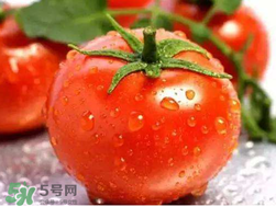 杏和西紅柿能一起吃嗎？杏子能和西紅柿一起吃嗎？