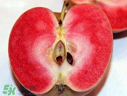 杏和蘋(píng)果可以一起吃嗎？杏子和蘋(píng)果可以一起吃嗎？