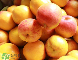 杏和蘋(píng)果可以一起吃嗎？杏子和蘋(píng)果可以一起吃嗎？