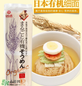 黃金大地面條產(chǎn)地是哪里？黃金大地面條安全嗎？