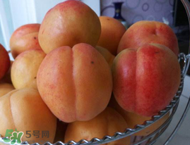 杏子可以空腹吃嗎？空腹能吃杏子嗎？