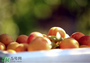 杏子好吃嗎？杏子可以多吃嗎？