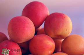 杏子好吃嗎？杏子可以多吃嗎？