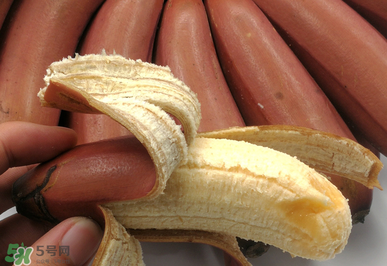 紅香蕉好吃嗎？紅香蕉味道怎么樣？