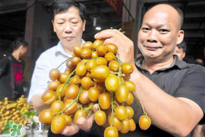 黃皮好吃嗎？黃皮是什么味道？