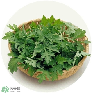 lululun plus面膜怎么樣？lululun plus面膜哪款好