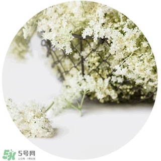 lululun plus面膜怎么樣？lululun plus面膜哪款好