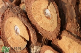 山葡萄根一斤多少錢？山葡萄根功效與作用