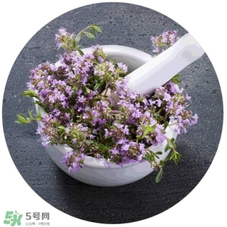 lululun plus面膜怎么樣？lululun plus面膜哪款好