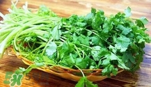 香菜是寒性食物嗎？香菜是熱性還是涼性？