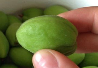 青杏怎么催熟？青杏怎么變黃？