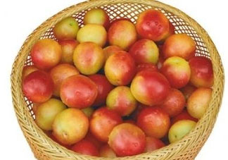 杏子好吃嗎？杏子可以多吃嗎？