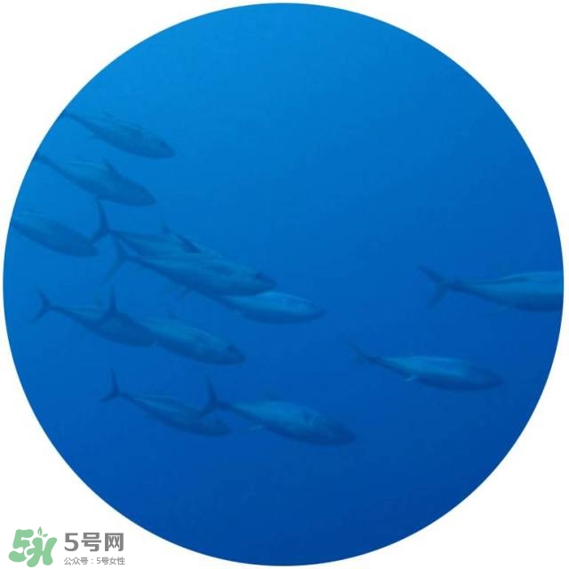 lululun plus面膜怎么樣？lululun plus面膜哪款好