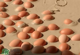 變蛋是什么蛋？變蛋是怎么做的？