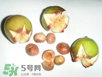 野地瓜滕熬水吃能治療什么??？野地瓜怎么吃