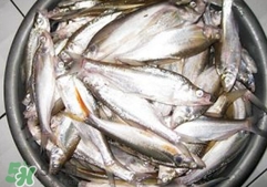 翹殼是什么魚？翹殼魚多少錢一斤2017？