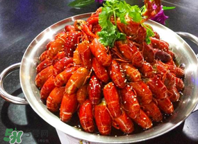 油燜大蝦吃哪些部位？怎么正確吃油燜大蝦？