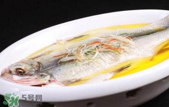 孕婦可以吃白條魚嗎？白條魚孕婦能吃嗎？
