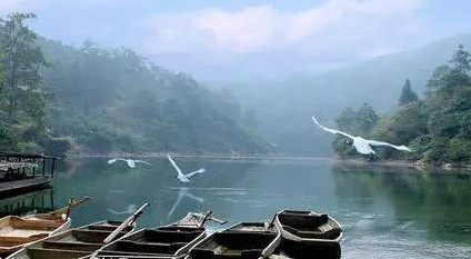 馬口魚能養(yǎng)殖嗎？馬口魚怎么養(yǎng)？