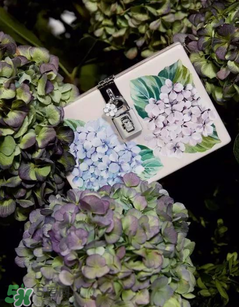 dolce gabanna杜嘉班納2017秋冬繡球花系列怎么樣_好看嗎？