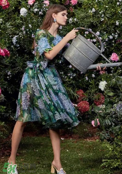 dolce gabanna杜嘉班納2017秋冬繡球花系列怎么樣_好看嗎？