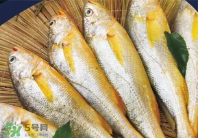 小黃魚長(zhǎng)大后會(huì)不會(huì)變成大黃魚？