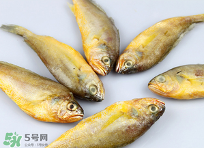 小黃魚(yú)不能和什么一起吃？小黃魚(yú)和什么相克？