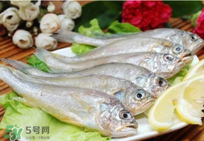 小黃魚(yú)多少錢一斤？野生小黃魚(yú)多少錢一斤？