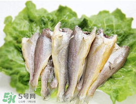 小黃魚可以養(yǎng)殖嗎？小黃魚能人工養(yǎng)殖嗎？