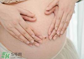 孕婦驅(qū)蚊植物推薦 孕婦能用植物驅(qū)蚊嗎？