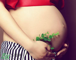 孕婦驅(qū)蚊最有效的方法 孕婦驅(qū)蚊有效的方法介紹 孕婦驅(qū)蚊最有效的方法 孕婦驅(qū)蚊有效的方法介紹