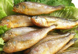 小黃魚多少錢一斤？野生小黃魚多少錢一斤？