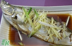 白條魚多少錢一斤2017？野生白條魚多少錢一斤