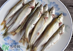 孕婦可以吃白條魚嗎？白條魚孕婦能吃嗎？